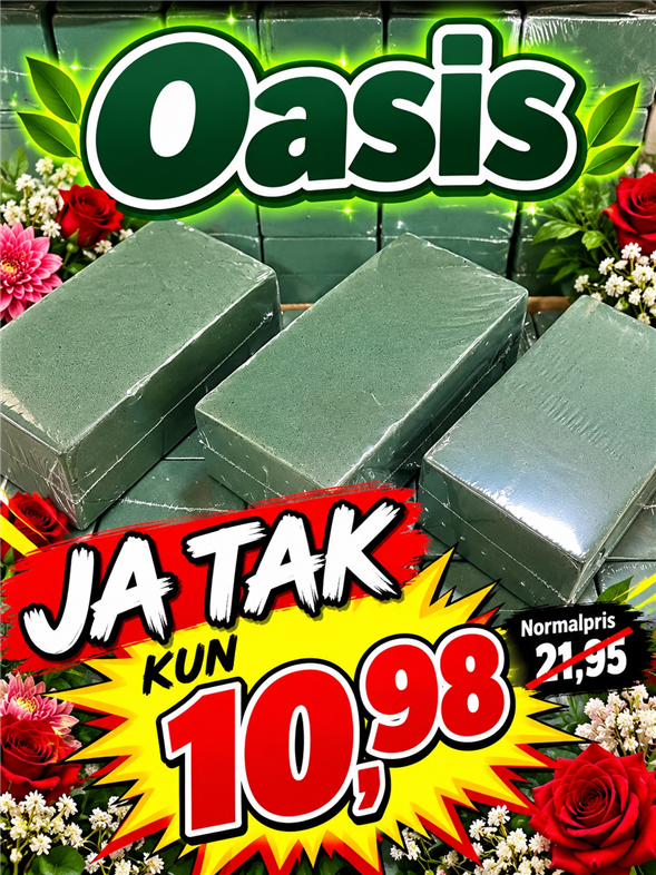 Oasis