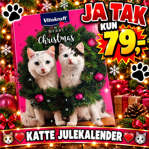 Katte julekalender